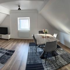 Willstätt Apartment 50M2