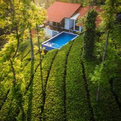 Tealawn Pool Villa, Munnar