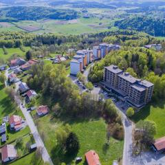 Apartment Sandra in the Bavarian Forest with pool