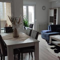 SUNNY APARTMENT OSIJEK, self check in