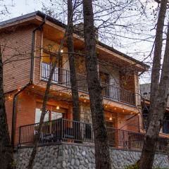 Cozy Villa in Brezovica