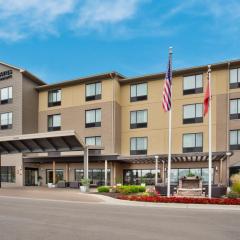 TownePlace Suites by Marriott Detroit Belleville