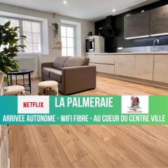 LA PALMERAIE -wifi fibre- centre ville -PROPERTY RENTAL NM