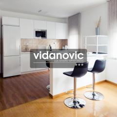 Lux Studio Apartment Vidanovic