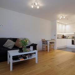 Lovely Modern 1-Bed Flat in Kingston