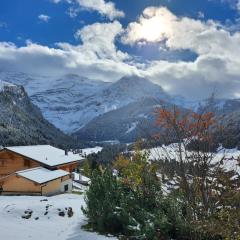 One bedroom appartment in Les Diablerets