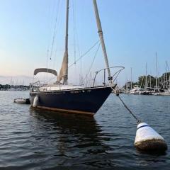 Sailboat Experience in Annapolis