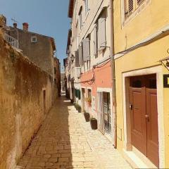 Apartments with WiFi Rovinj - 20845