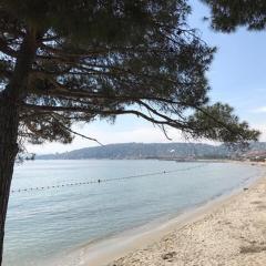 JUAN LES PINS, T2 Cosy et confortable, avec PARKING en sous-sol, proche plages et commerces