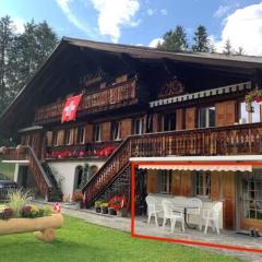 1 room apt, kitchen, patio, in beautiful chalet