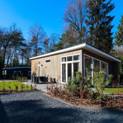 Atmospheric chalet with terrace in the middle of the Veluwe