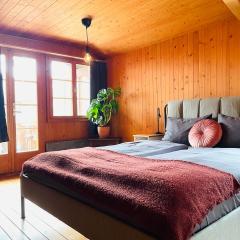 Lovely & great equipped wooden Alp Chalet flat