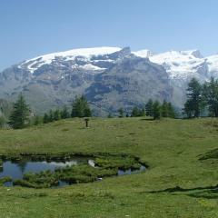 Champoluc Apartment