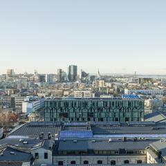 Fahle building, Luxurious, skyline view Flat near Centre