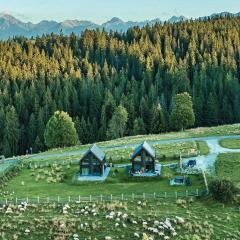 Owczarnia Tatry