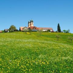 Landhuis Appartement Feldberg uitzicht