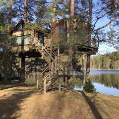 Treehouse Čiekurs