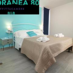 Litoranea 80