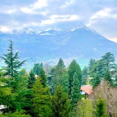 Mountain apartment with marvelous view near slopes