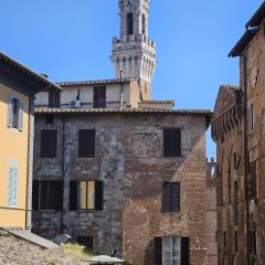 Fly To Home Siena Centre