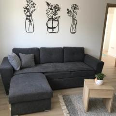 Apartman SLAVONIA 2