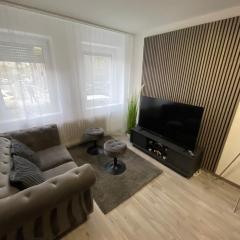 Exklusives Apartment Offenbach Zentral nahe Frankfurt