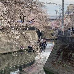 桜川別莊