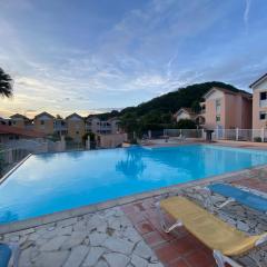 Meublé piscine à sainte Anne