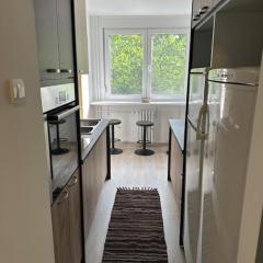 Modern one bedroom in the center of Belgrade