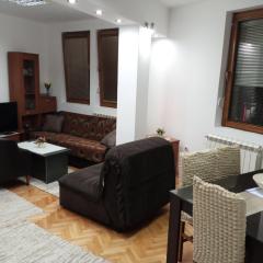 Apartman Mladenovic Center, free parking&wifi