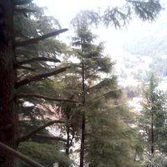 Himalayan Mountain View, Triund Trekking Hostel