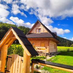 Domek Trzy Doliny Zakopane, Three Valleys Chalet with Jacuzzi