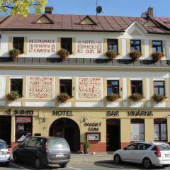 Hotel Panský dům