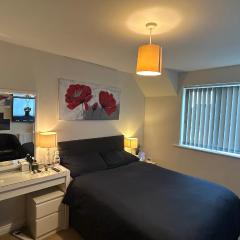 Ensuite Double Bedroom in a 2 bed Spacious Apartment