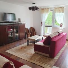 Apartament PLAŻOWY