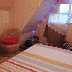 Cozy Nest Homestay