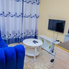 Sunlit Furnished Studio, Kisii