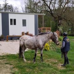 Tiny House Ecuries du Vieux Moulin