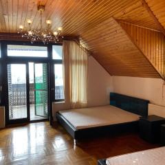 Luxury 3 BR Vila in a forest 10min drive from city center