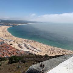 Casa Miradouro