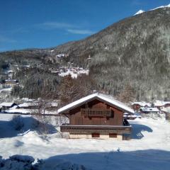 Chalet cosy au pied du Mont Blanc