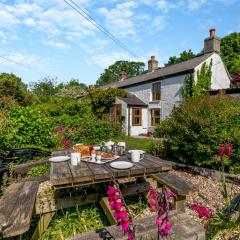 Hollow Tree Cottage