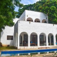 Shoreline Serenity in Malindi