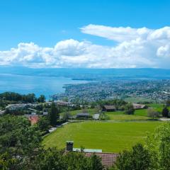 Lakeview Apartment-Lavaux