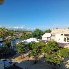 Le Belvédère - hyper centre - Vue mer et port de plaisance