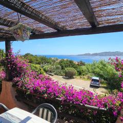 LA TERRAZZA SUL MARE - panoramic cottage overlooking sea and Caprera island in a quiet residential area - 150 mt from the sea