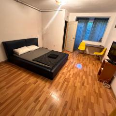 Apartment 1 Room Center Take Ionescu