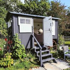 Shepherds hut with Alpaca views