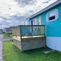 Harry’s House in Heart’s Delight, NL