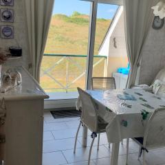 Coquet Appartement T2, Balcon Sud, Parking Privé, 400m de la Plage - Fort-Mahon-Plage - FR-1-482-135